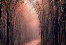 泰国队员参加精英训练，全力备战比赛