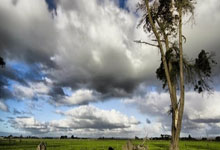 俄罗斯队表现出色晋级欧洲杯晋级名额稳固